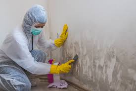 Mold Removal for HVAC Installations